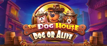 The Dog House - Dog or Alive
