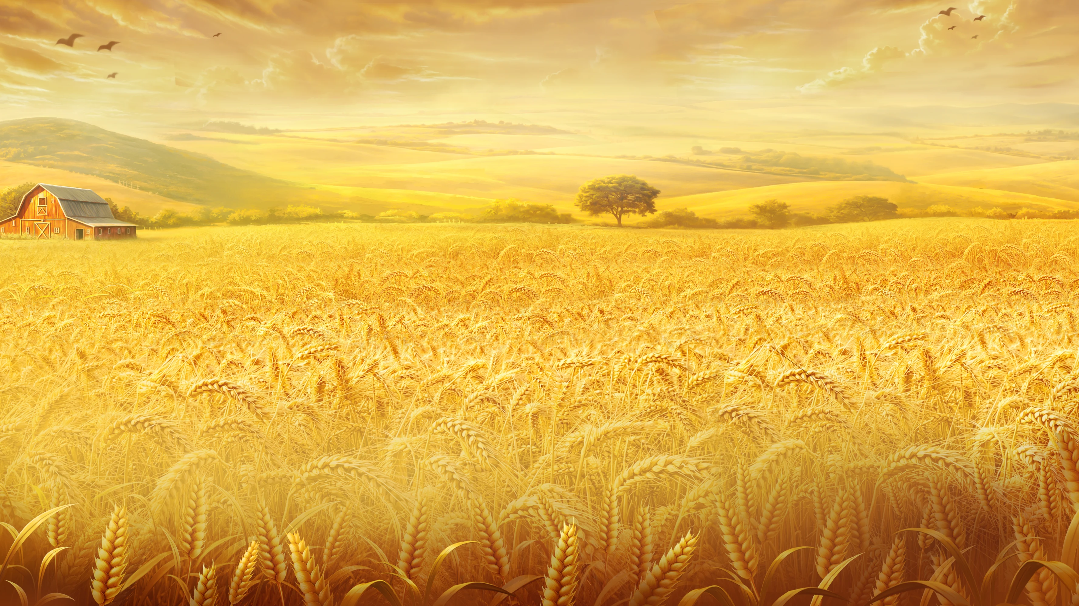 Background